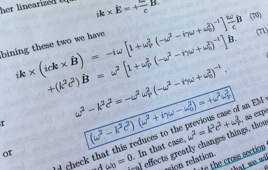 The First Week! The First Week!