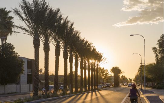 We’ve made it to Tempe! (The first couple weeks)