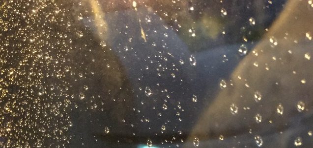 Thanksgiving in the Pacific Northwest