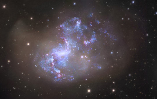 The Adolescent Boys of the Universe