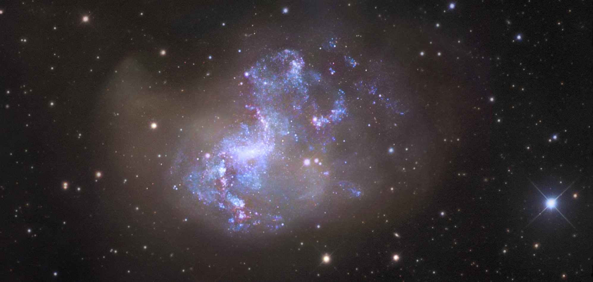 The Adolescent Boys of the Universe