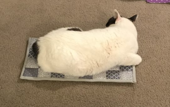 Backing, Batting, and Basting, Oh My!